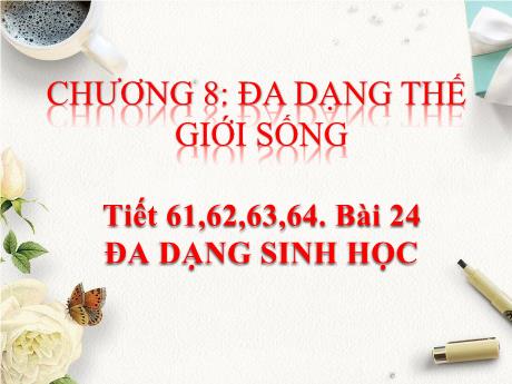 Bài giảng KHTN 6 - Chương 8, Bài 24: Đa dạng sinh học