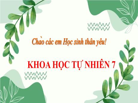 Bài giảng KHTN 7 - Bài 25: Trao đổi nước và các chất dinh dưỡng ở thực vật