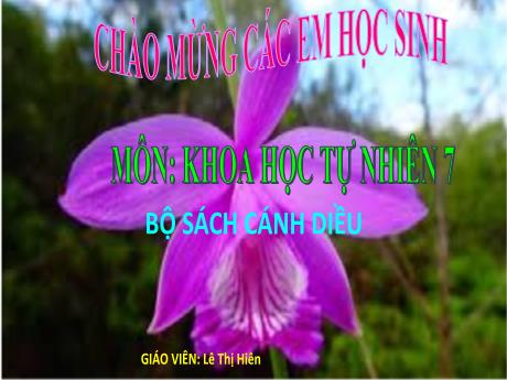 Bài giảng KHTN 7 - Bài 32: Khái quát về sinh sản và sinh sản vô tính ở sinh vật - Lê Thị Hiên