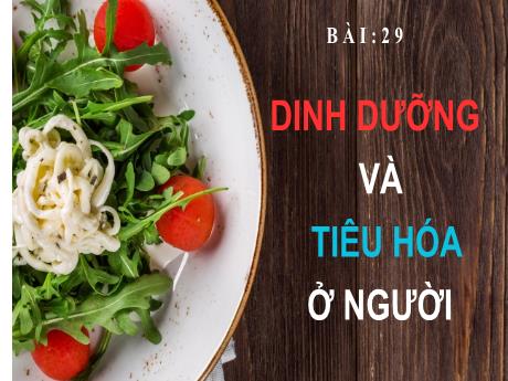 Bài giảng KHTN 8 - Bài 29: Dinh dưỡng và tiêu hóa ở người