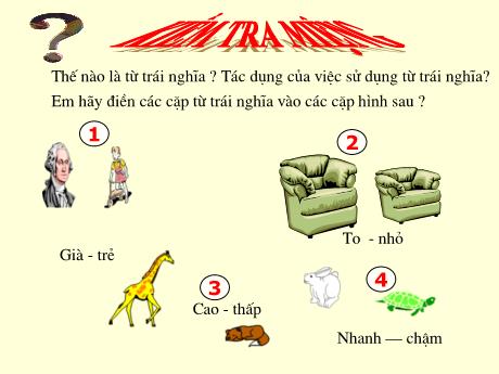Bài giảng Ngữ Văn 7 - Tiết 43: Từ đồng âm