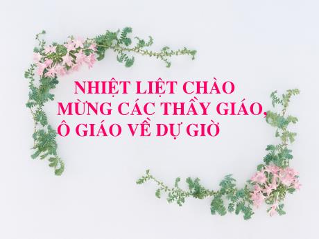 Bài giảng Ngữ Văn 7 - Tiết 48: Thành ngữ