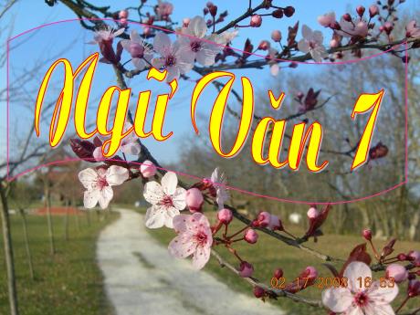 Bài giảng Ngữ Văn 7 - Tiết 93: Đức tính giản dị của Bác Hồ (Phạm Văn Đồng)
