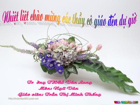 Bài giảng Ngữ Văn Lớp 7 - Tiết 39: Từ trái nghĩa - Trần Thị Minh Thống