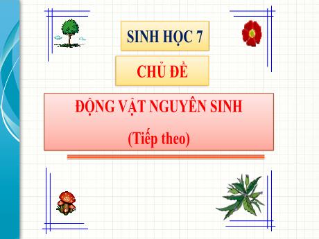 Bài giảng Sinh Học 7 - Chủ đề: Động vật nguyên sinh (Tiếp theo)