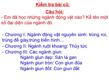 Bài giảng Sinh Học 7 - Tiết 20-23, Chủ đề: Thân mềm. Bài 18: Trai sông