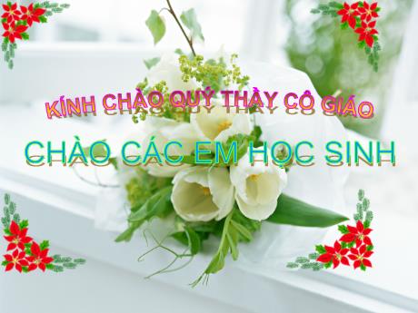 Bài giảng Sinh Học 8 - Chương 3, Tiết 13, Bài 13: Máu và môi trường trong cơ thể