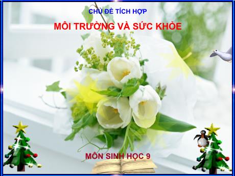 Bài giảng Sinh Học 9 - Tiết 30, Bài 29: Bệnh và tật di truyền ở người