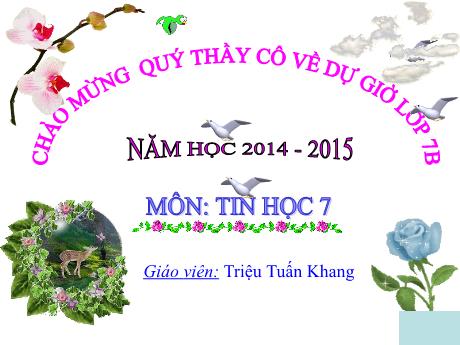Bài giảng Tin Học 7 - Tiết 58, Bài 9: Trình bày dữ liệu bằng biểu đồ (Tiết 2) - Năm học 2014-2015 (Triệu Tuấn Khang)